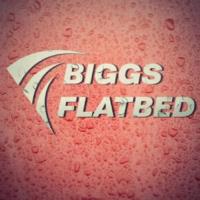 Biggs Flatbed image 6